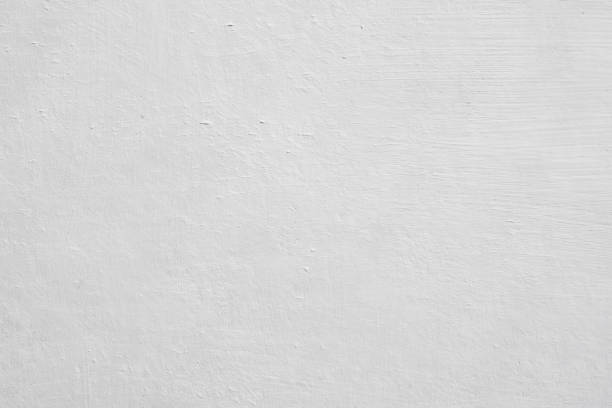 Best Mold Damage Restoration  in Odessa, MO